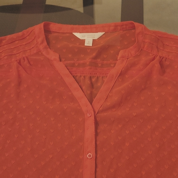 Lauren Conrad semi-sheer long sleeve top - Picture 3 of 6